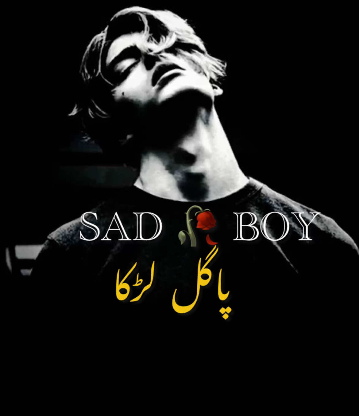 @😢 SAD BOY🎶