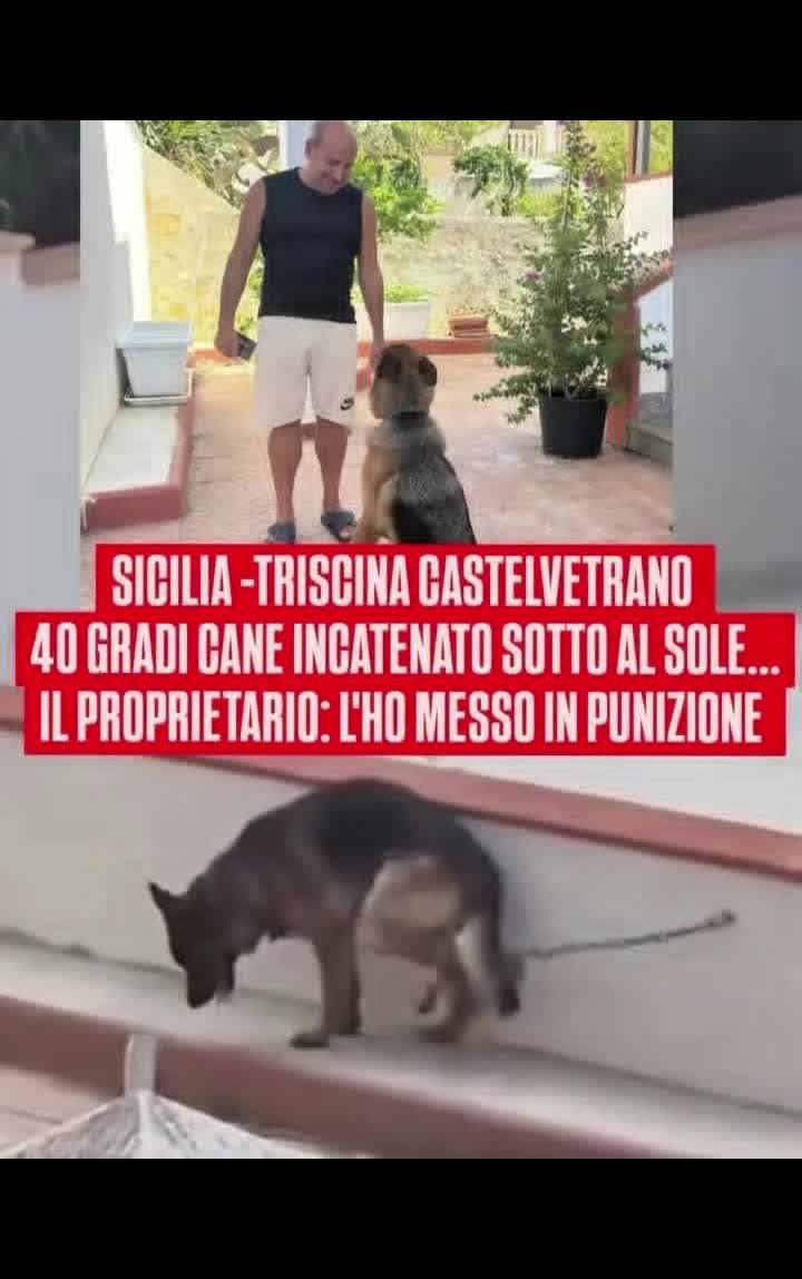 @Michele72☑️