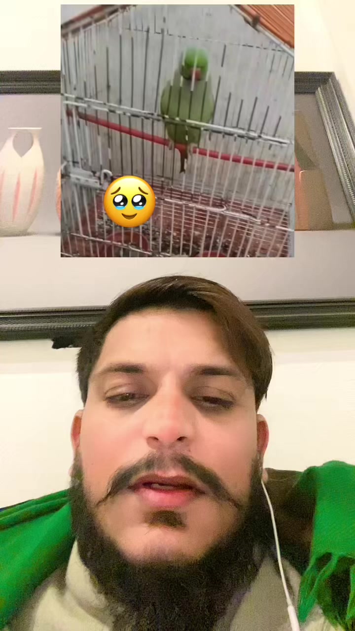 @Mr Bhatti 804🔥