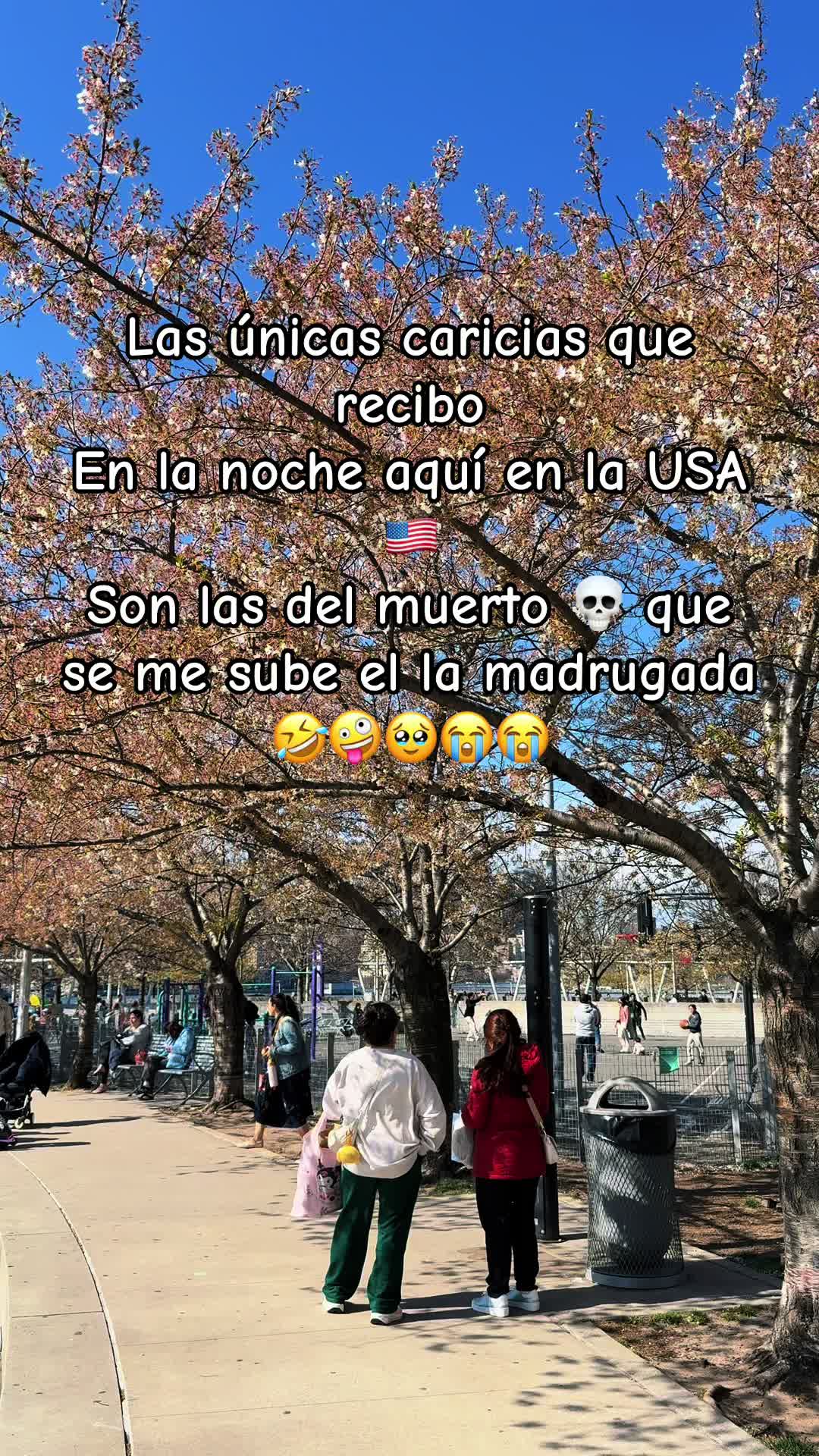@🇲🇽Un poblano en ny 🇺🇸🗽☘️
