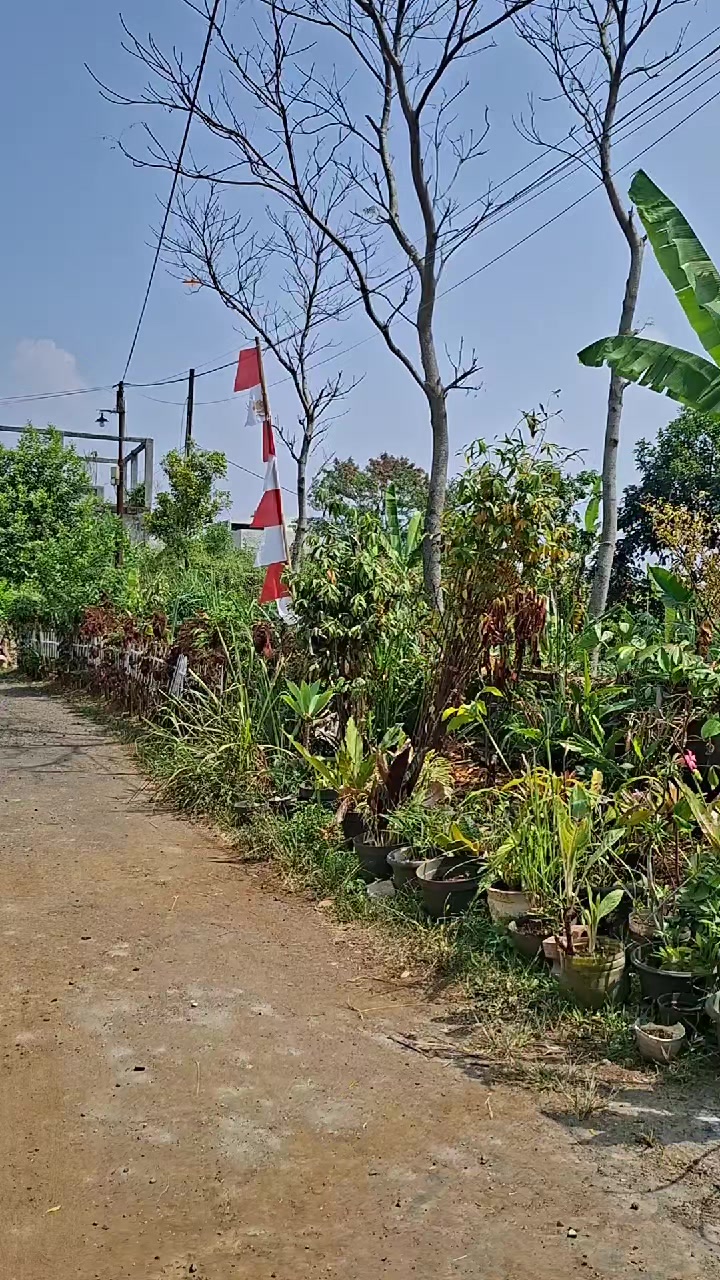 @Nurul laila