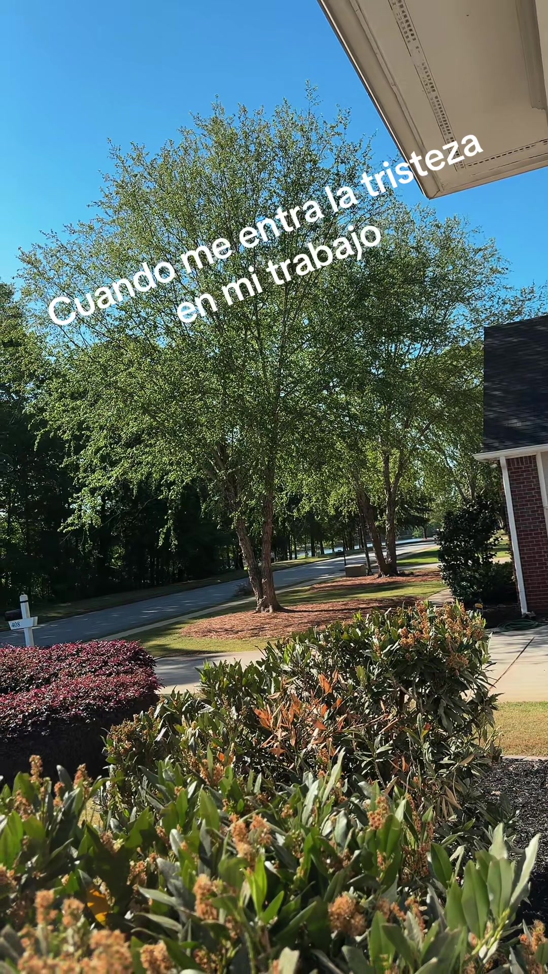 @RUBI .YOLO.TR