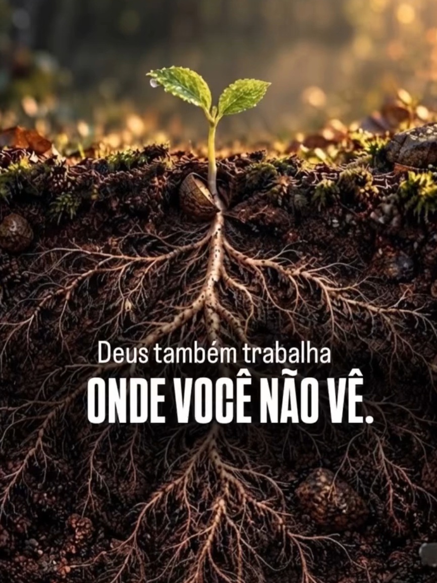 @Jonathan Silva
