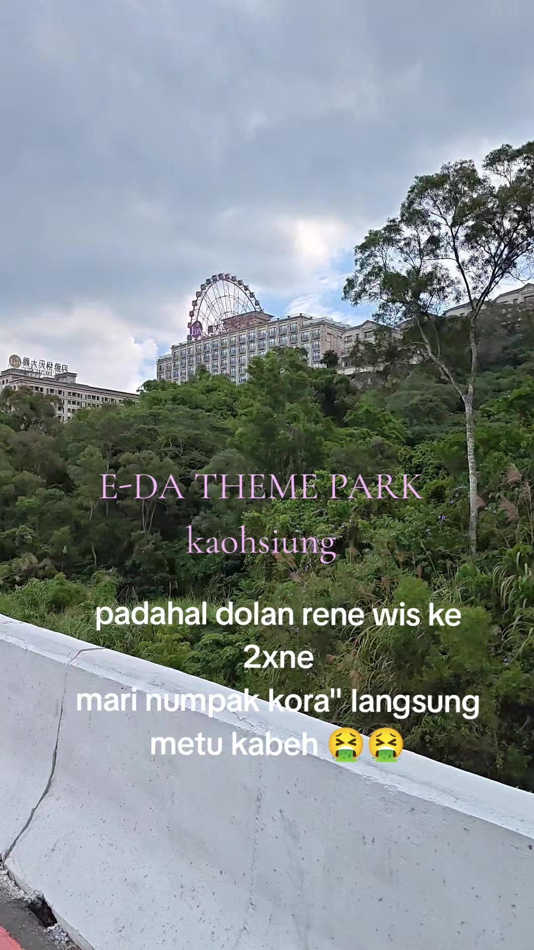 @伊尔玛
