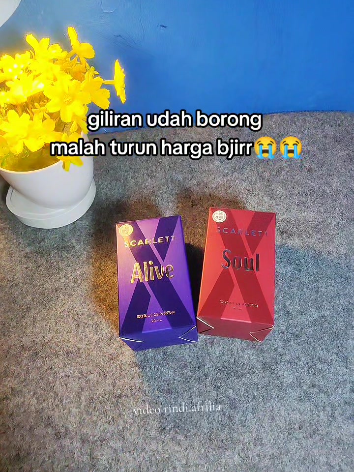 @Rindi Afrilia𝜗𝜚✨