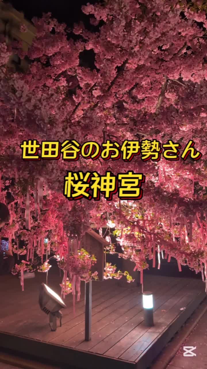 @🌸Shinomin🌸