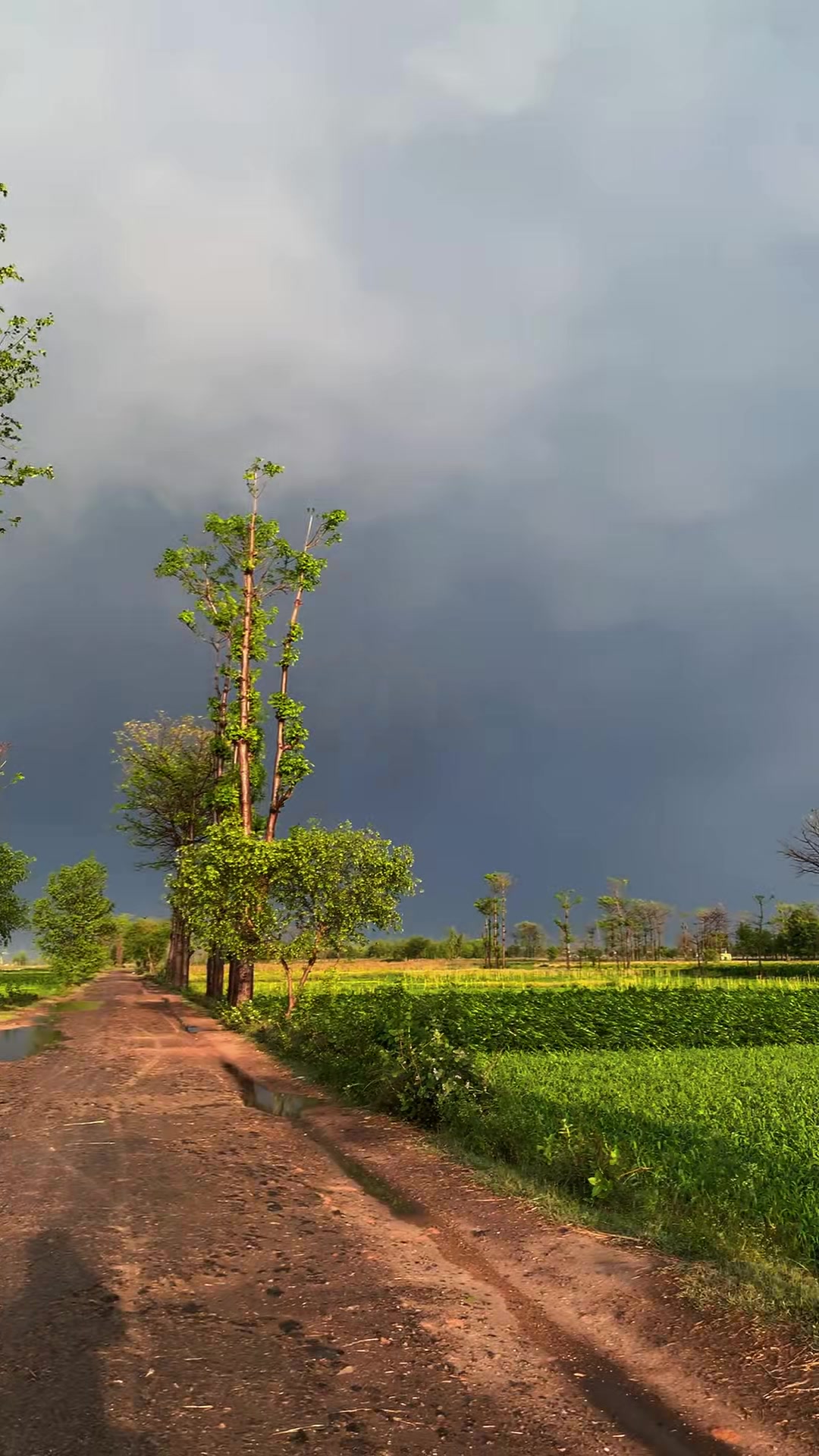 @Babbu Kandal