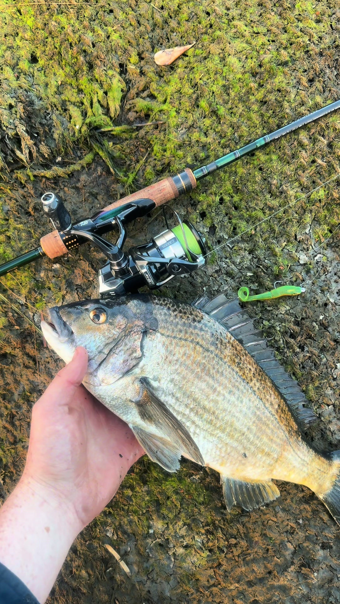@fishing_southtas