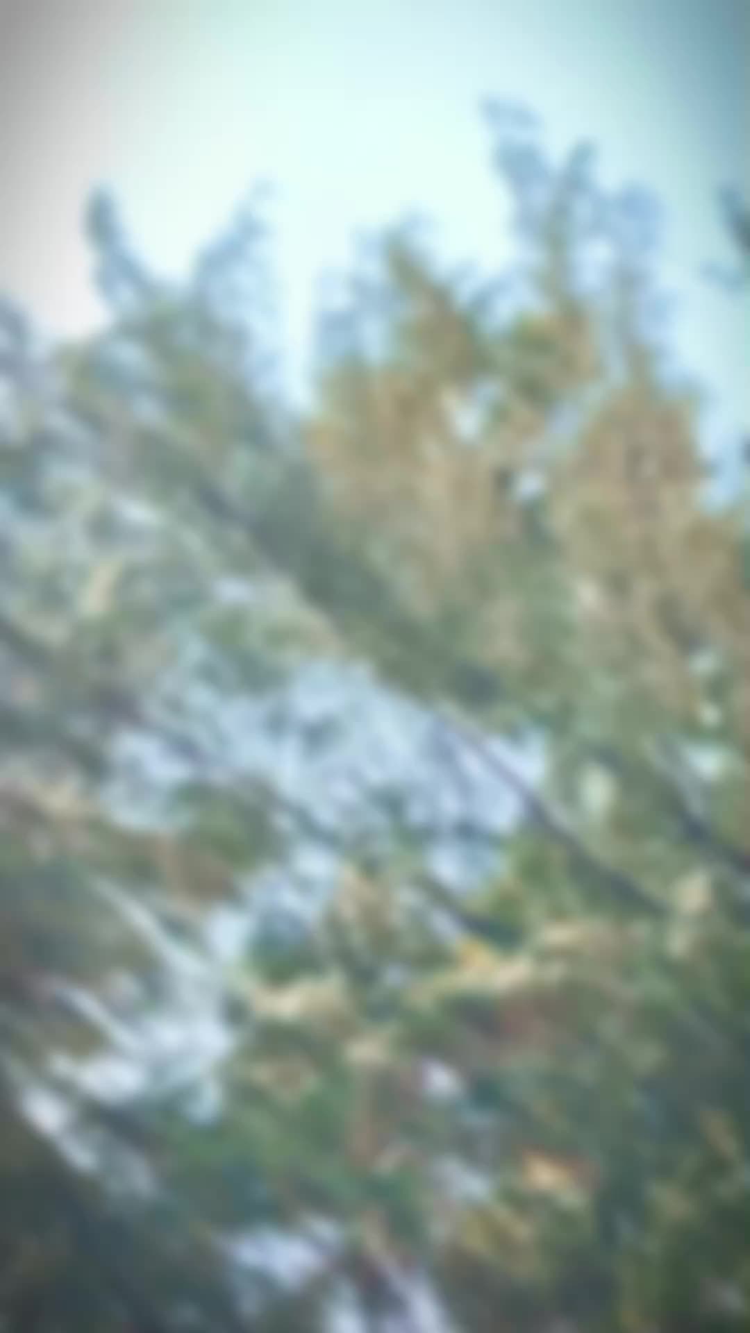 @கருவாயன்_⚡
