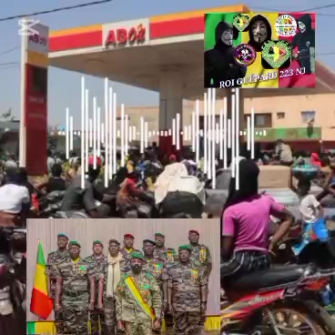 @ROI GU&Eacute;PARD N&deg;1 223 🇲🇱