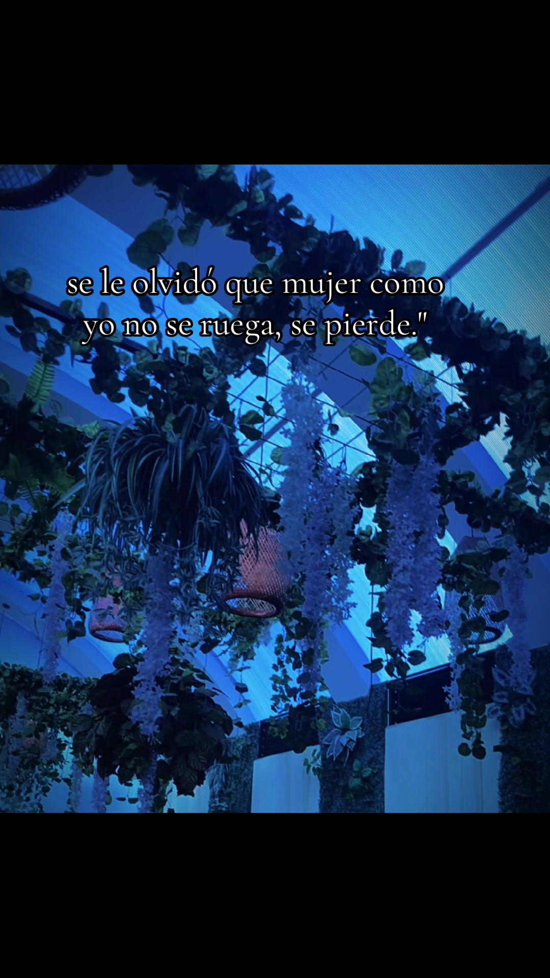 @ALEJANDRINA&ensp;G 🦋