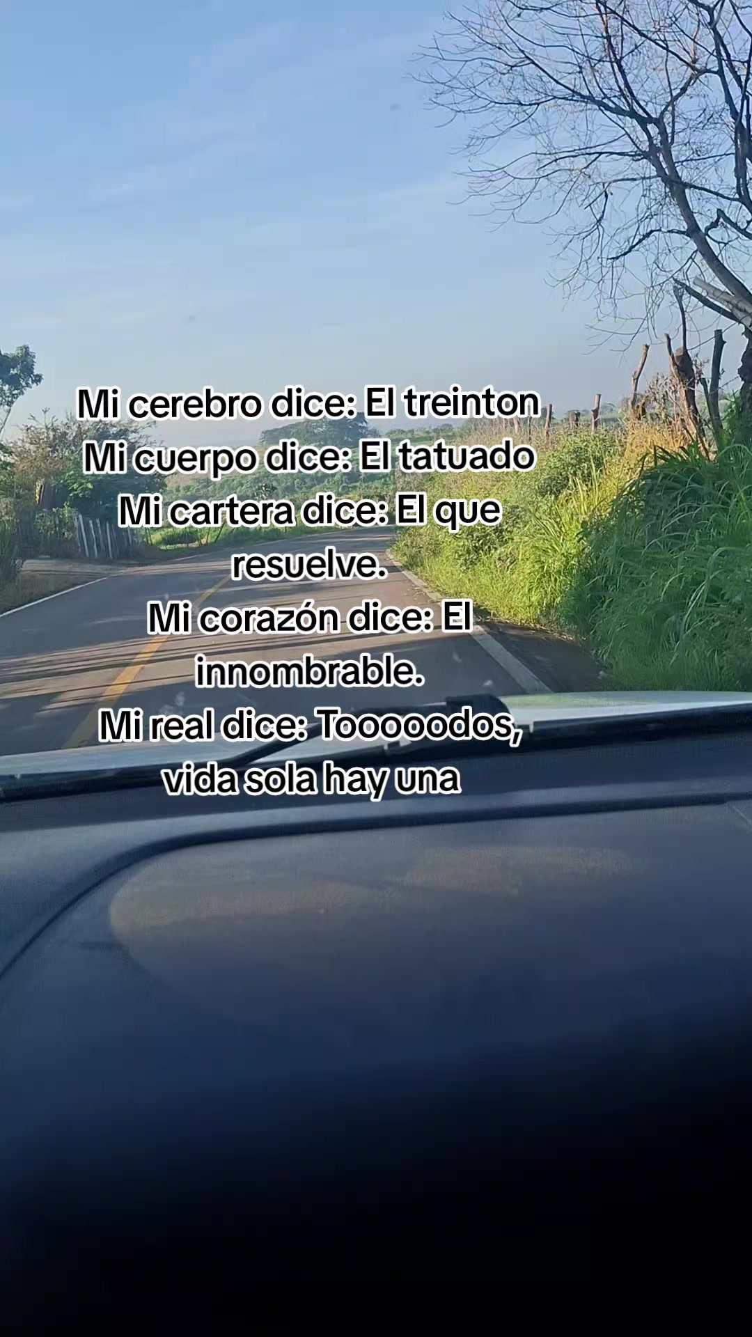@Luz Llamas