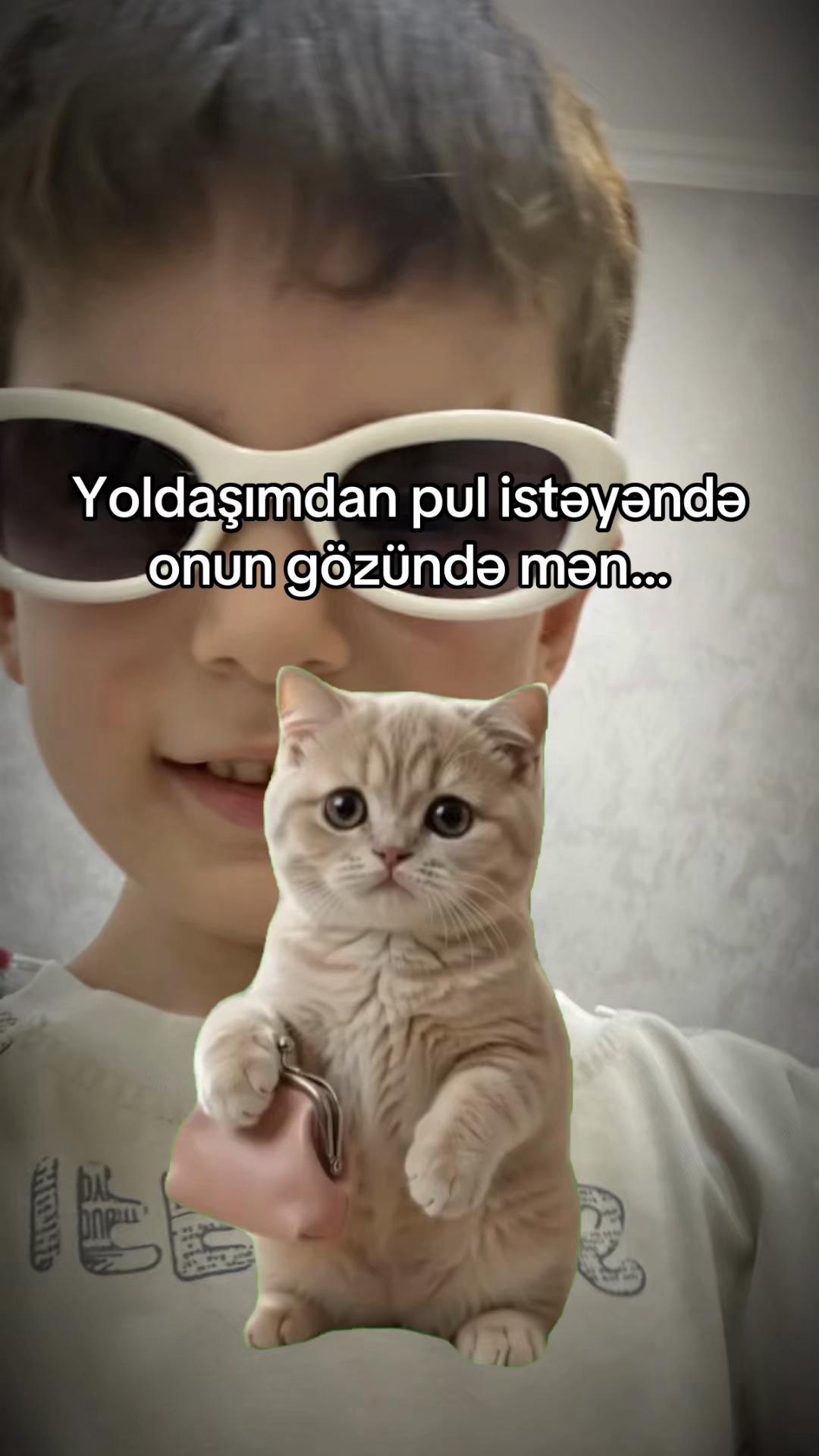 @İrade Hacieli