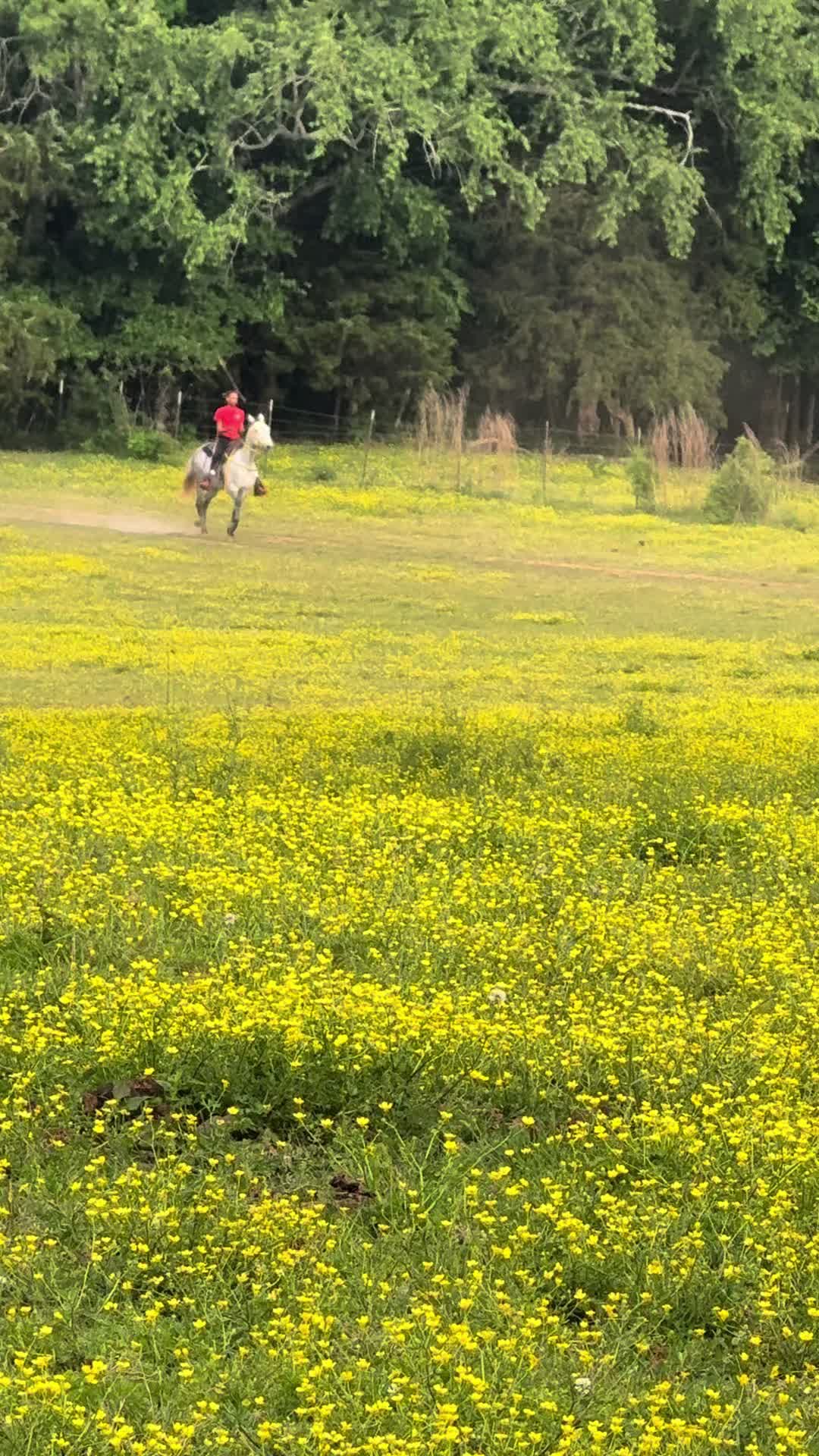 @CJ🧑🏽🌾