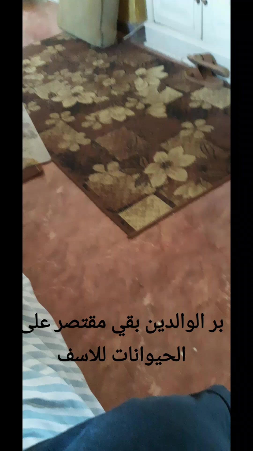 @salwawahedخبيره فى وصف الابراج