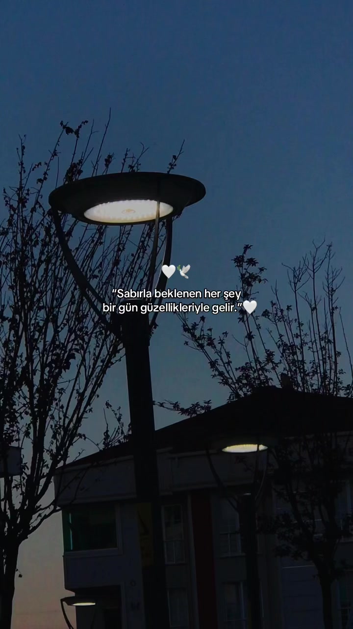 @𝑩&uuml;𝒏𝒚𝒂𝒎𝒊𝒏⚡️