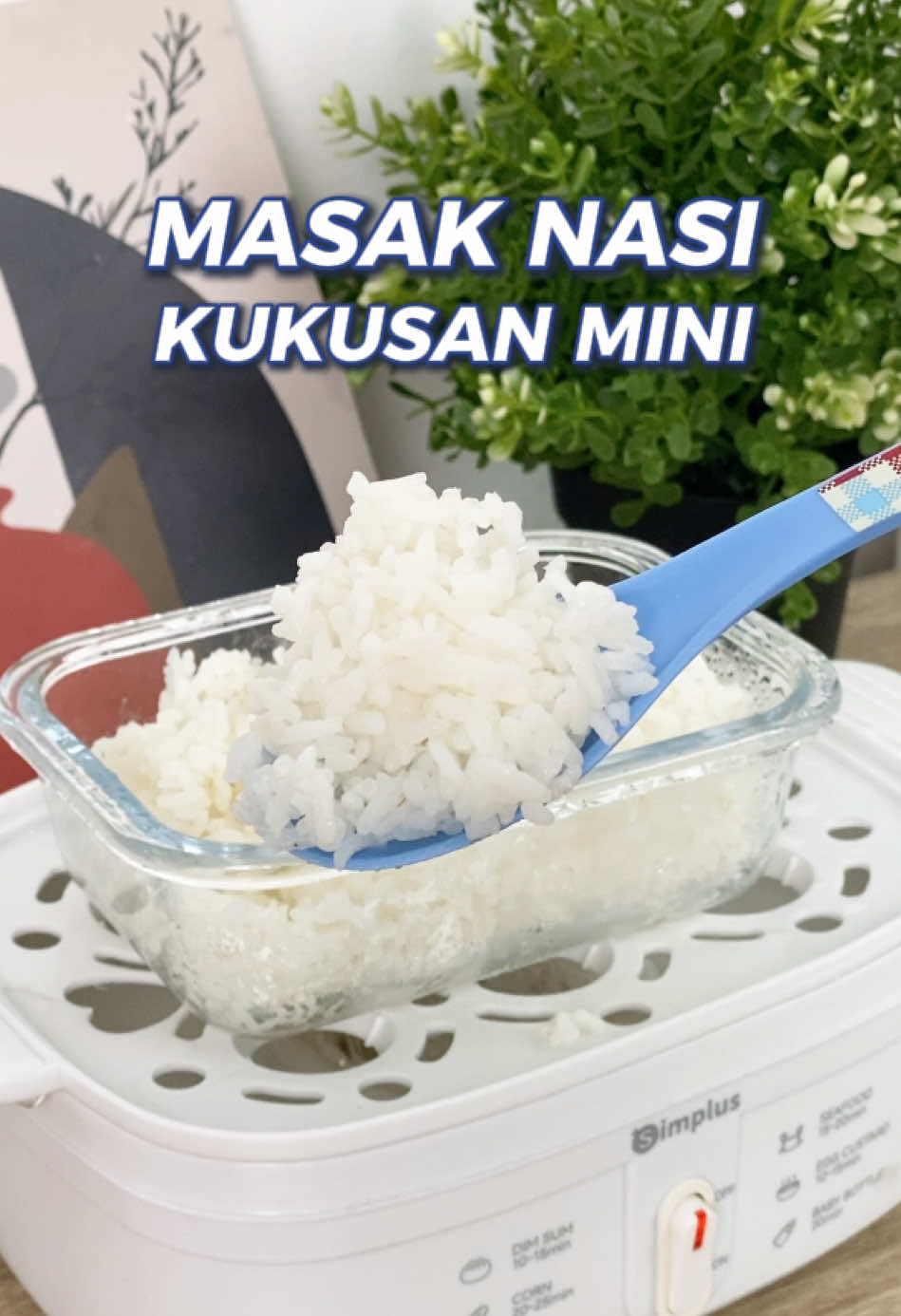 @Simplus