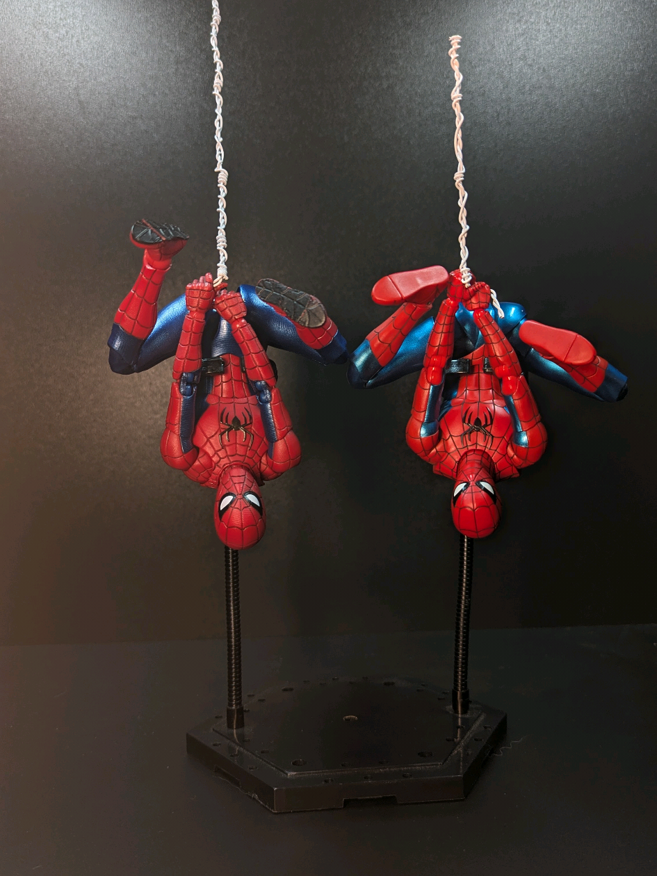 @Webs & Stands