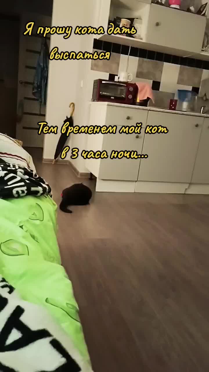 @user2278096979685