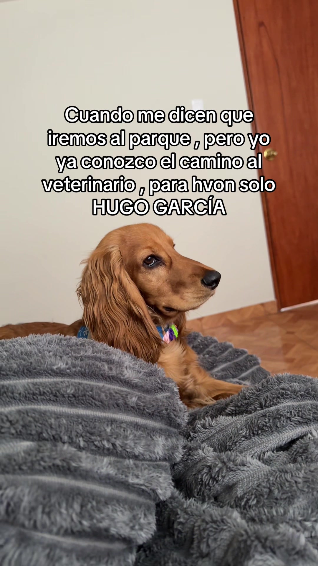 @Tatianna Cueva🩵