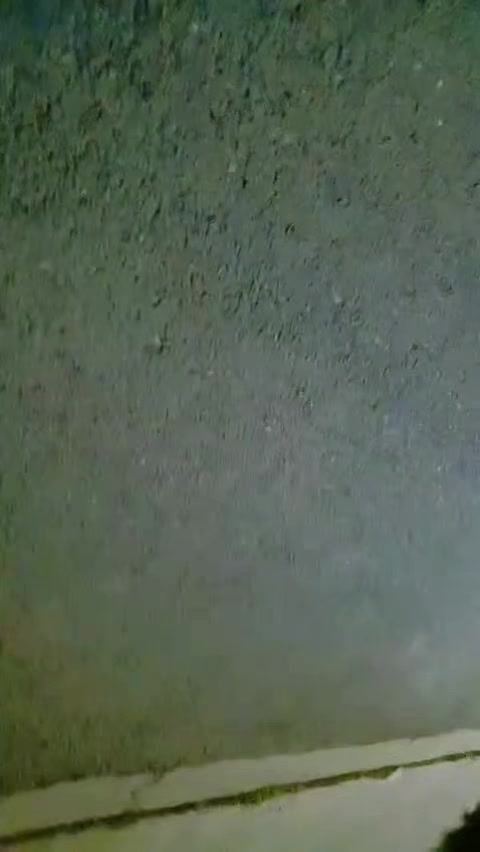 @Sahar khan