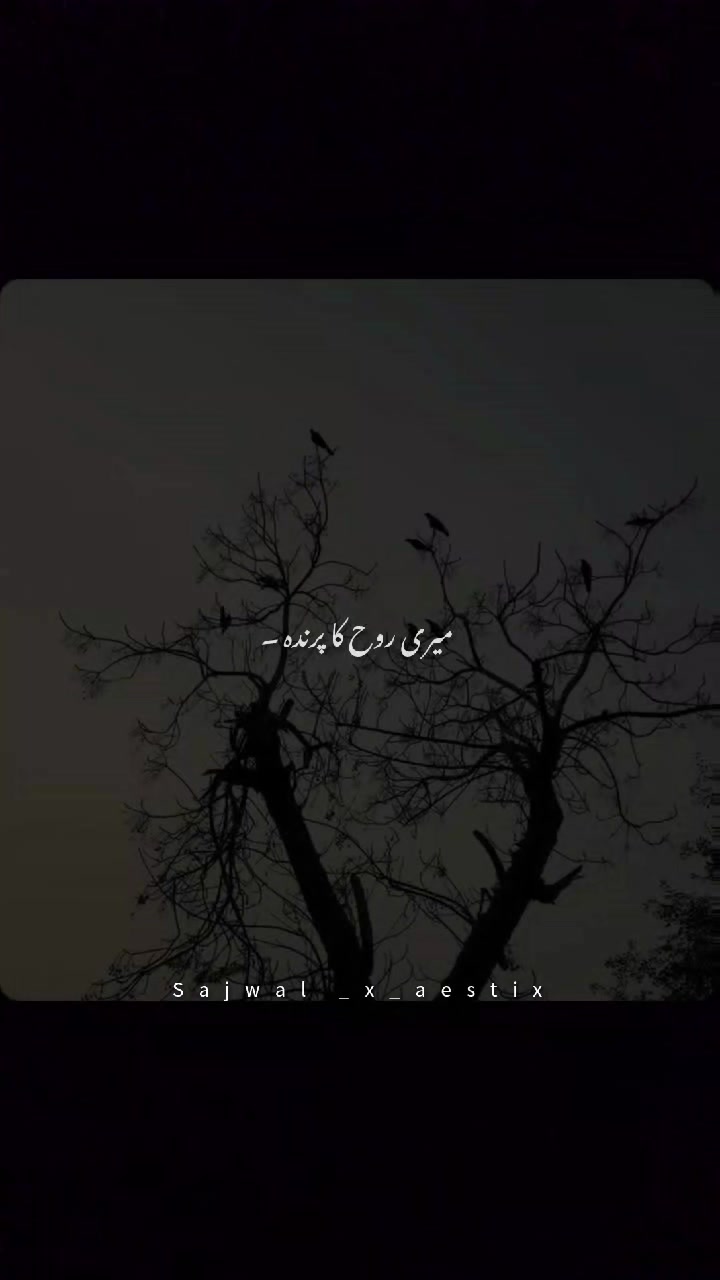 @𝑺𝒂𝒋𝒘𝒂𝒍_𝒙_𝒂𝒆𝒔𝒕𝒊𝒙♛