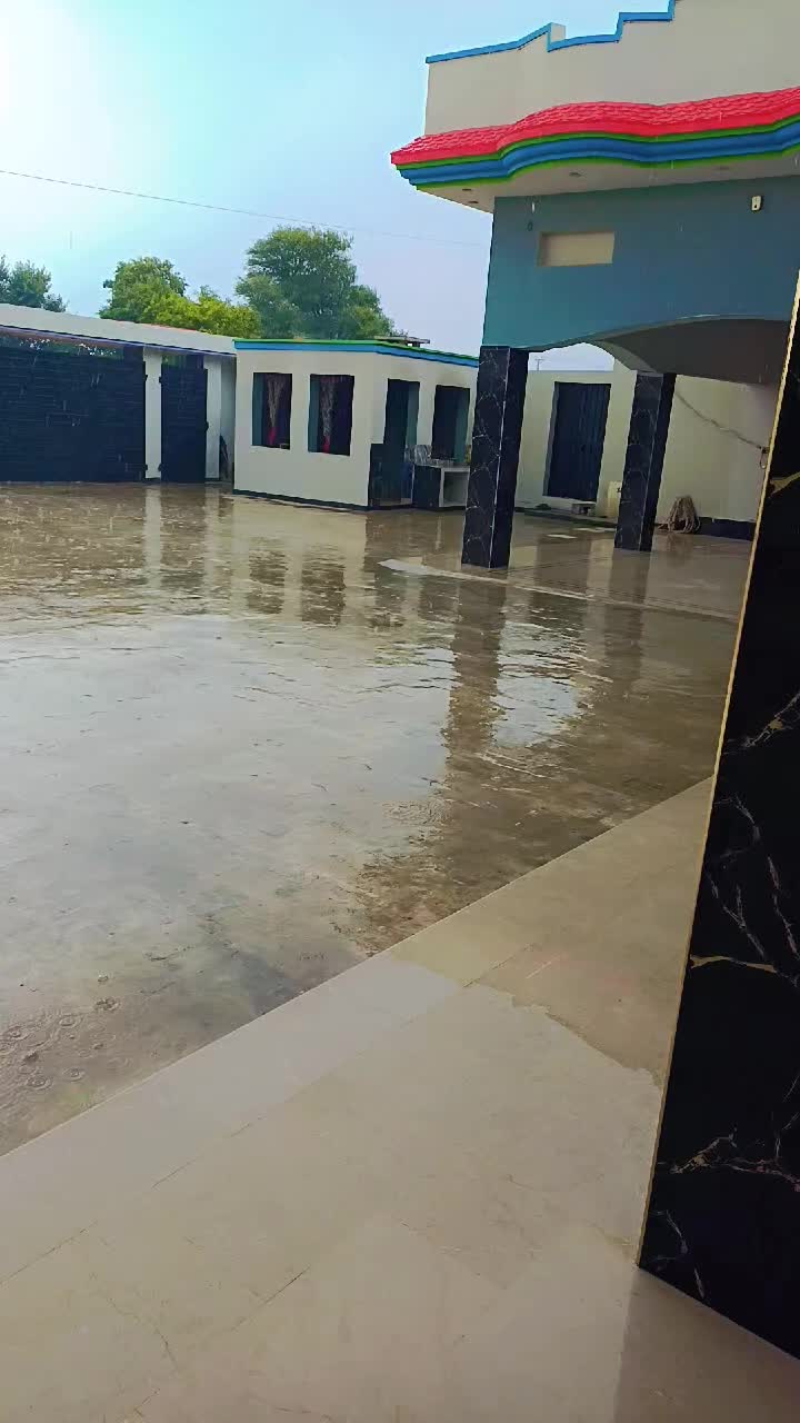 @Mohsii