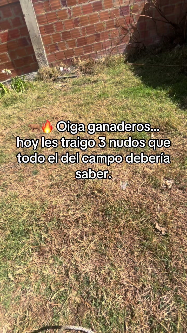 @MiGanado-Boyacá