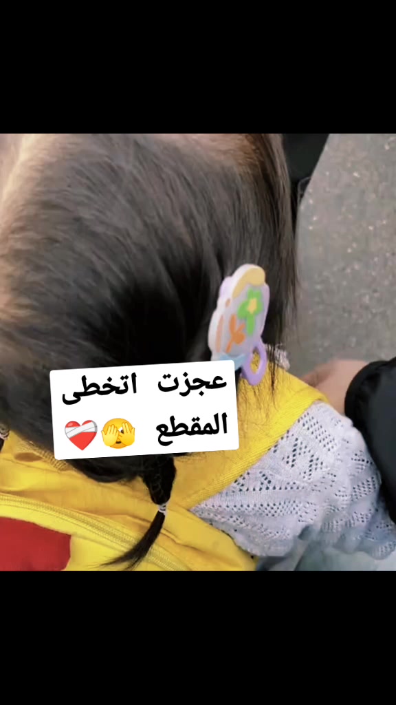 @hamzh