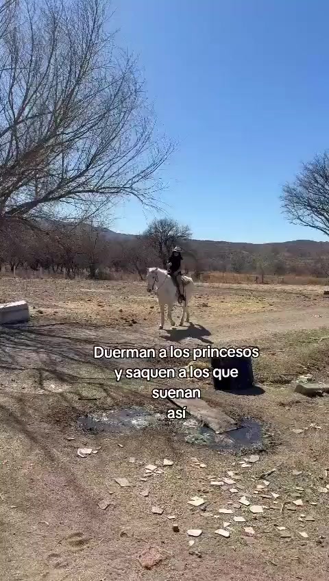 @A.P 💛