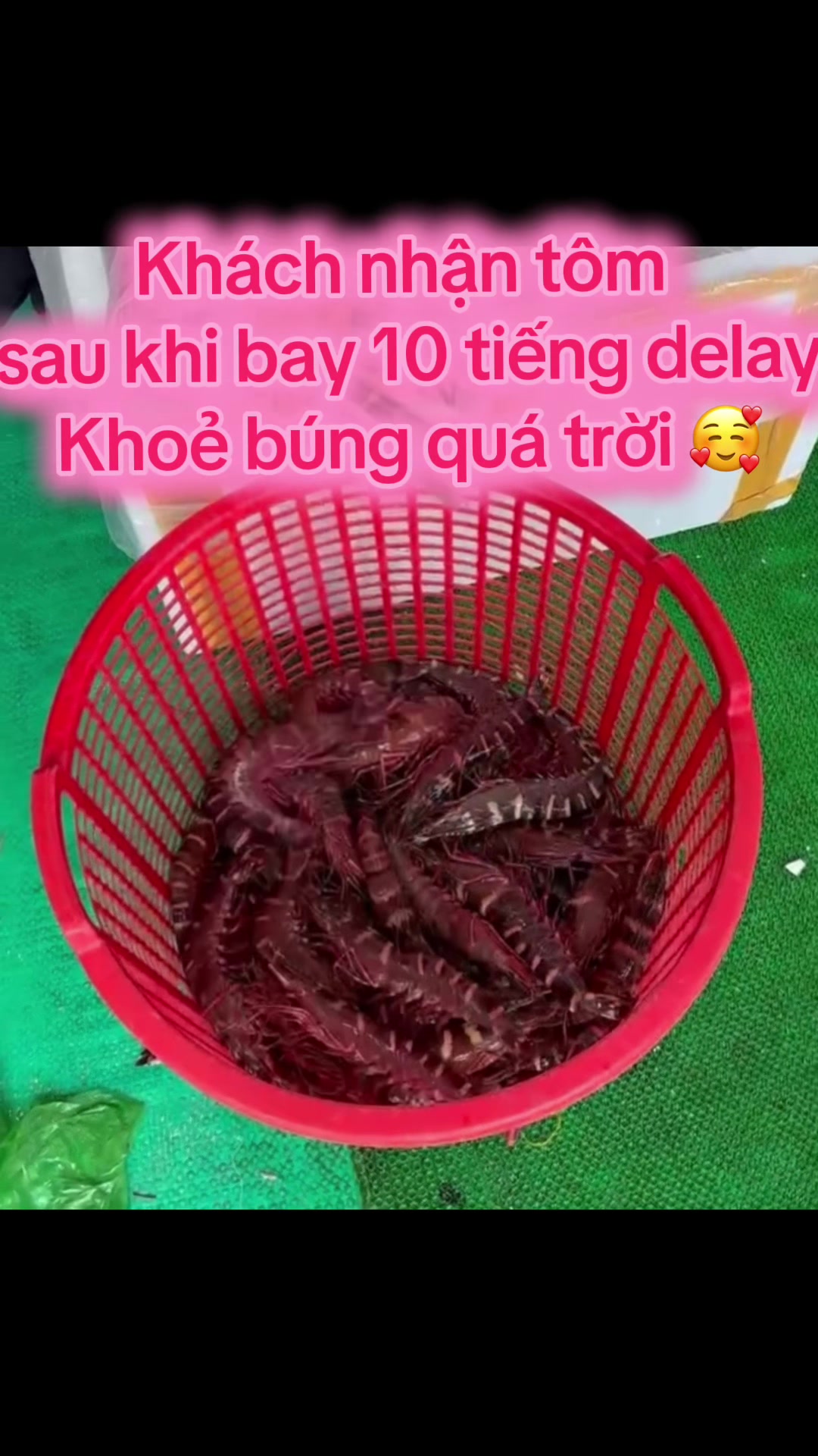 @Thịnh Sú Biển