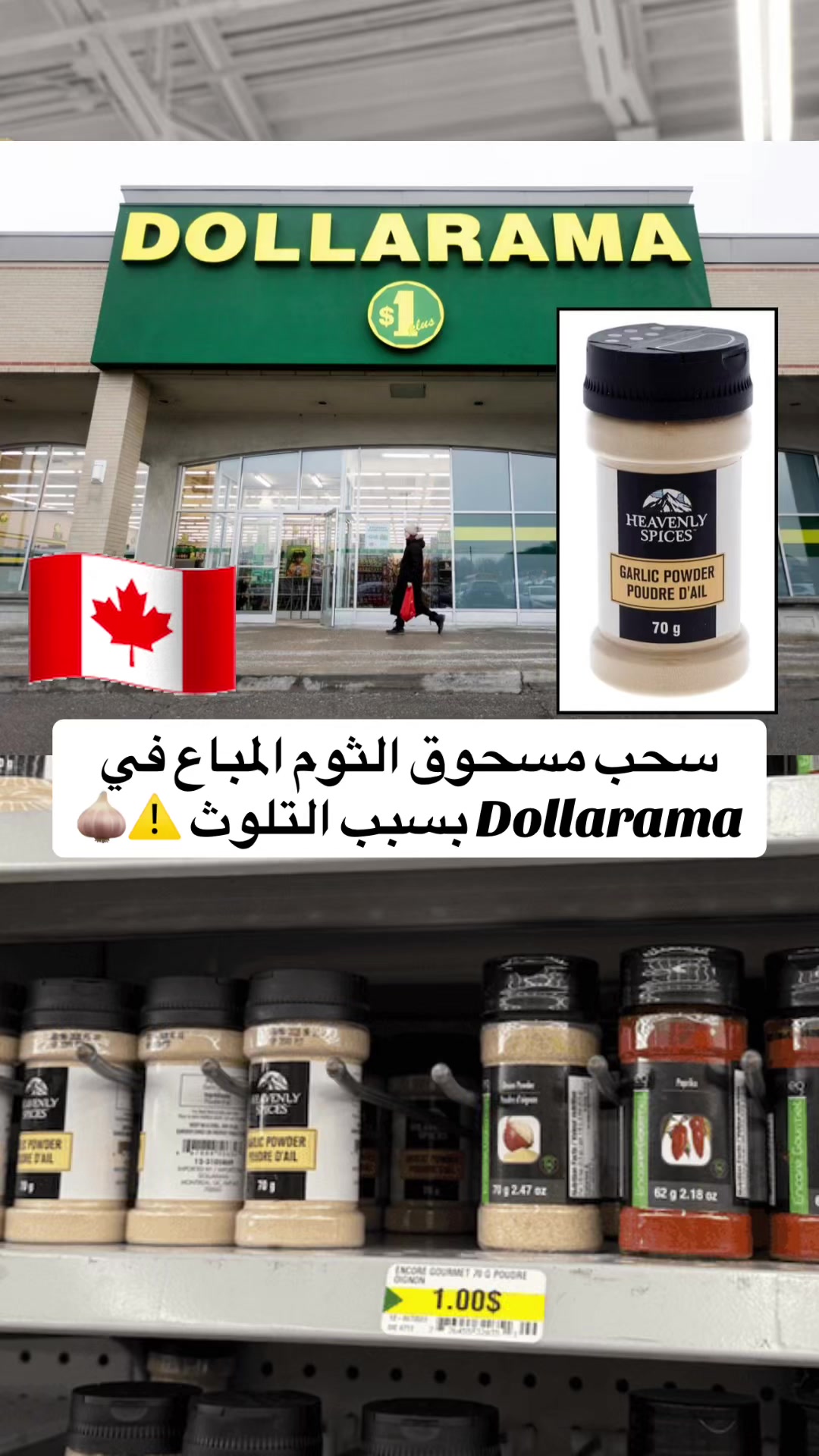 @Moeen 🇨🇦