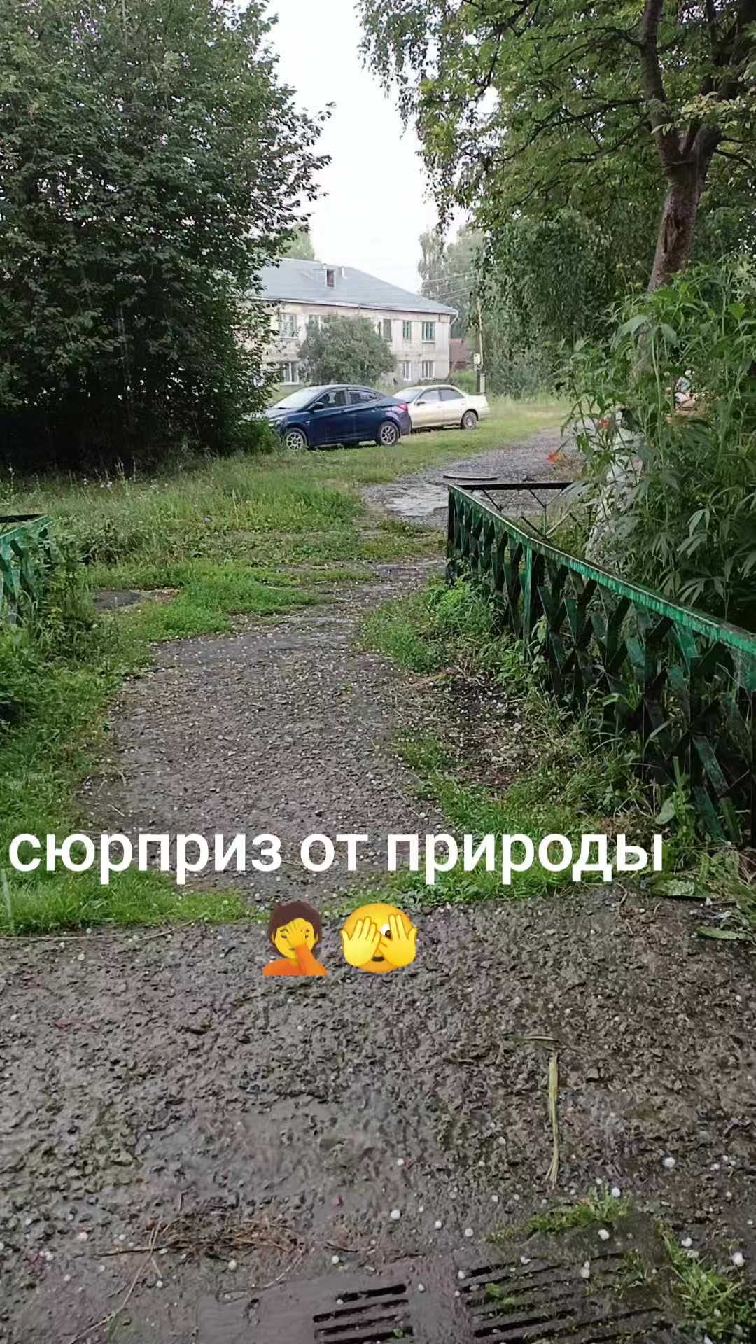 @KSYHA