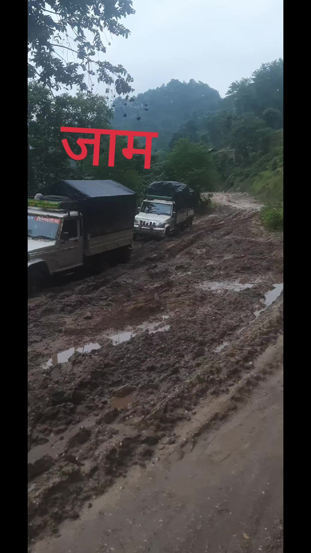 @Umesh Basnet