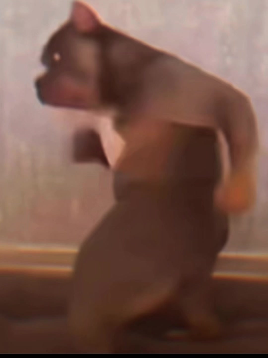 @JONYPORK