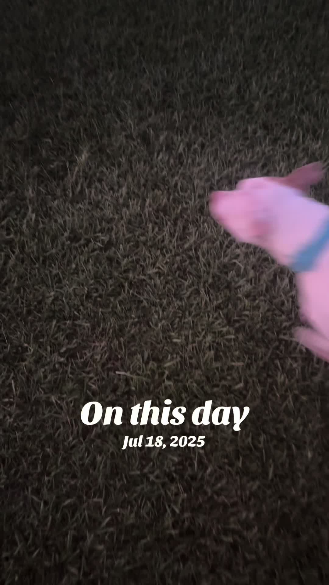 @figure2cold
