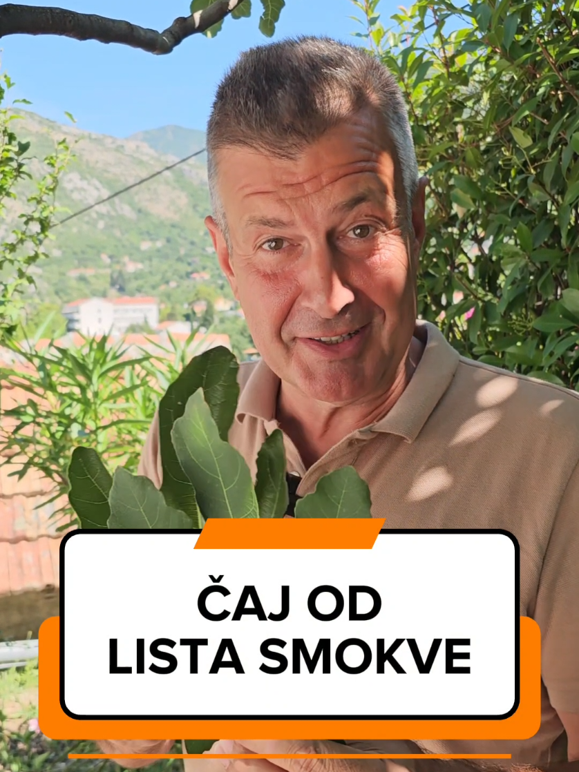 @Dejan Dragićević