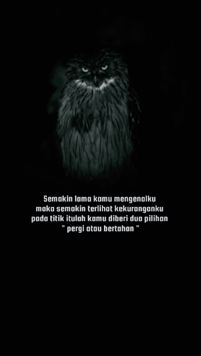 @𝘾𝙝𝙤𝙧𝙙𝙢𝙞𝙣𝙤𝙧