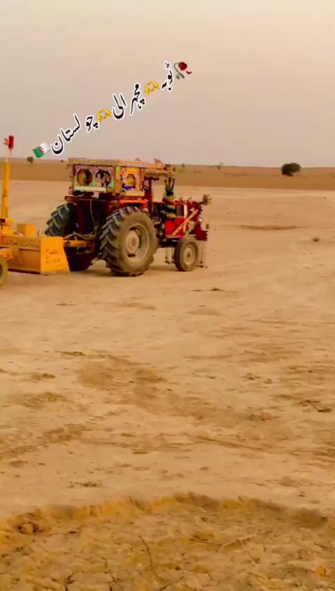 @M Afzal Solgi 83