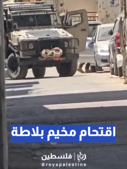 @Royapalestine رؤيا فلسطين