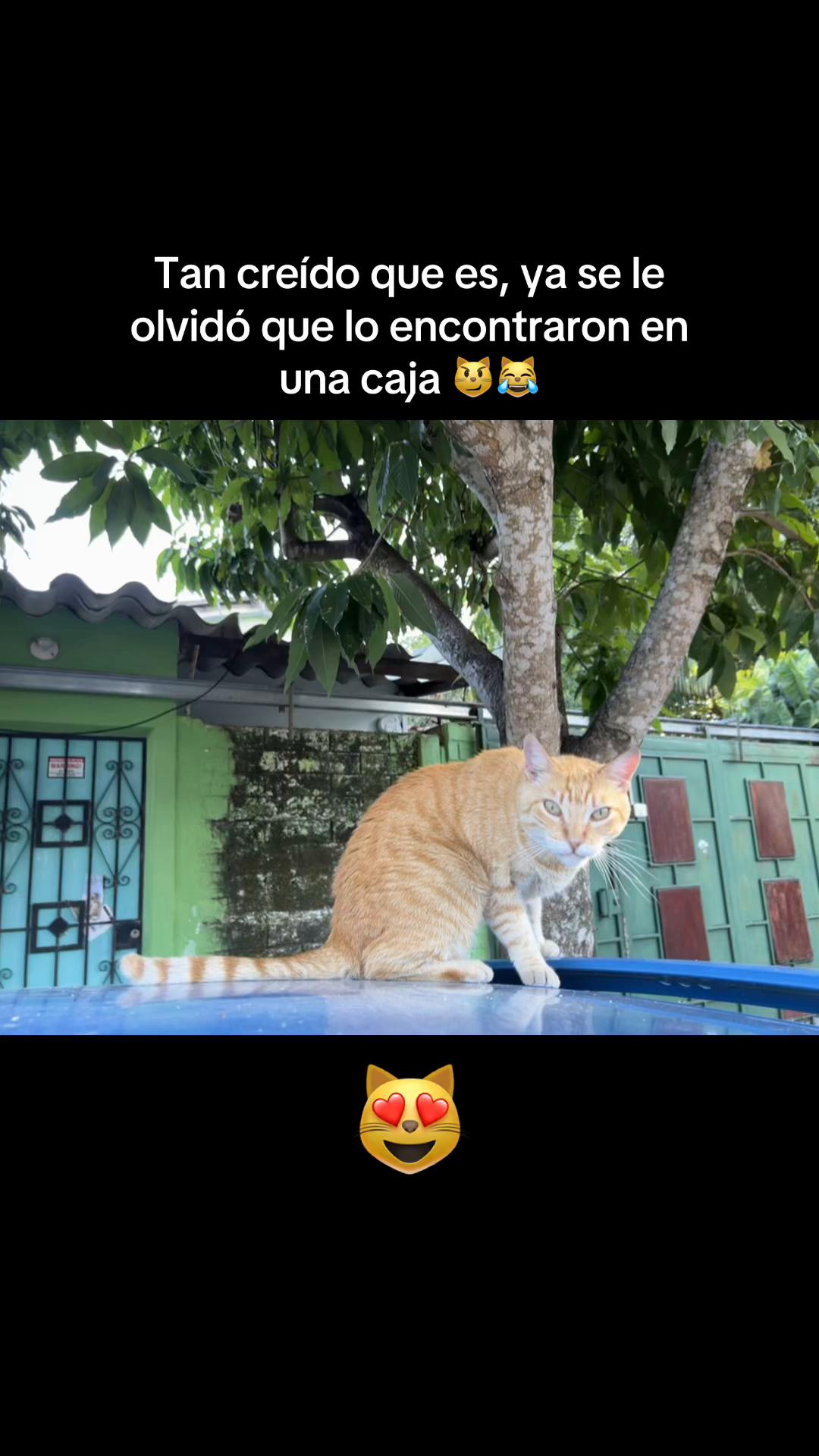 @Chef Berta Mezquita 🇸🇻