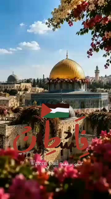 @🇲🇨Annisapales7ok23🇵🇸