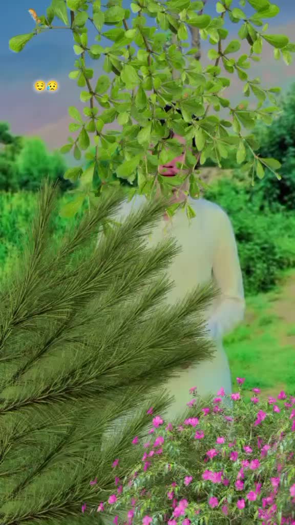@SARHAD 👑313🥷 ✌️