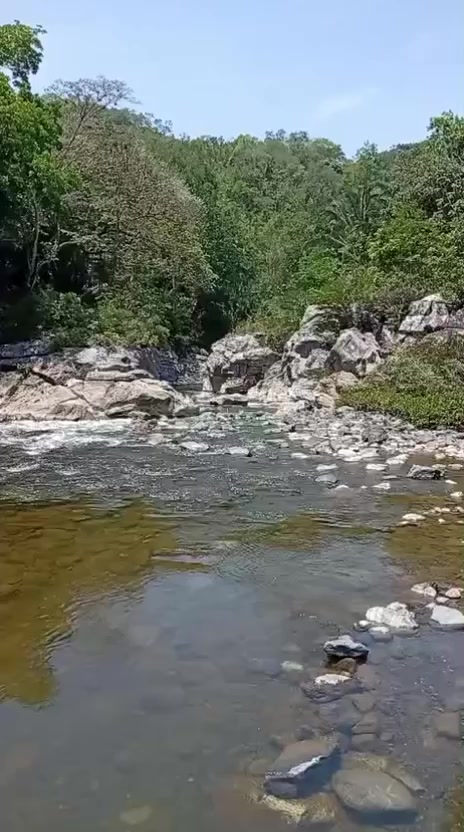 @FansAr 🇬🇹