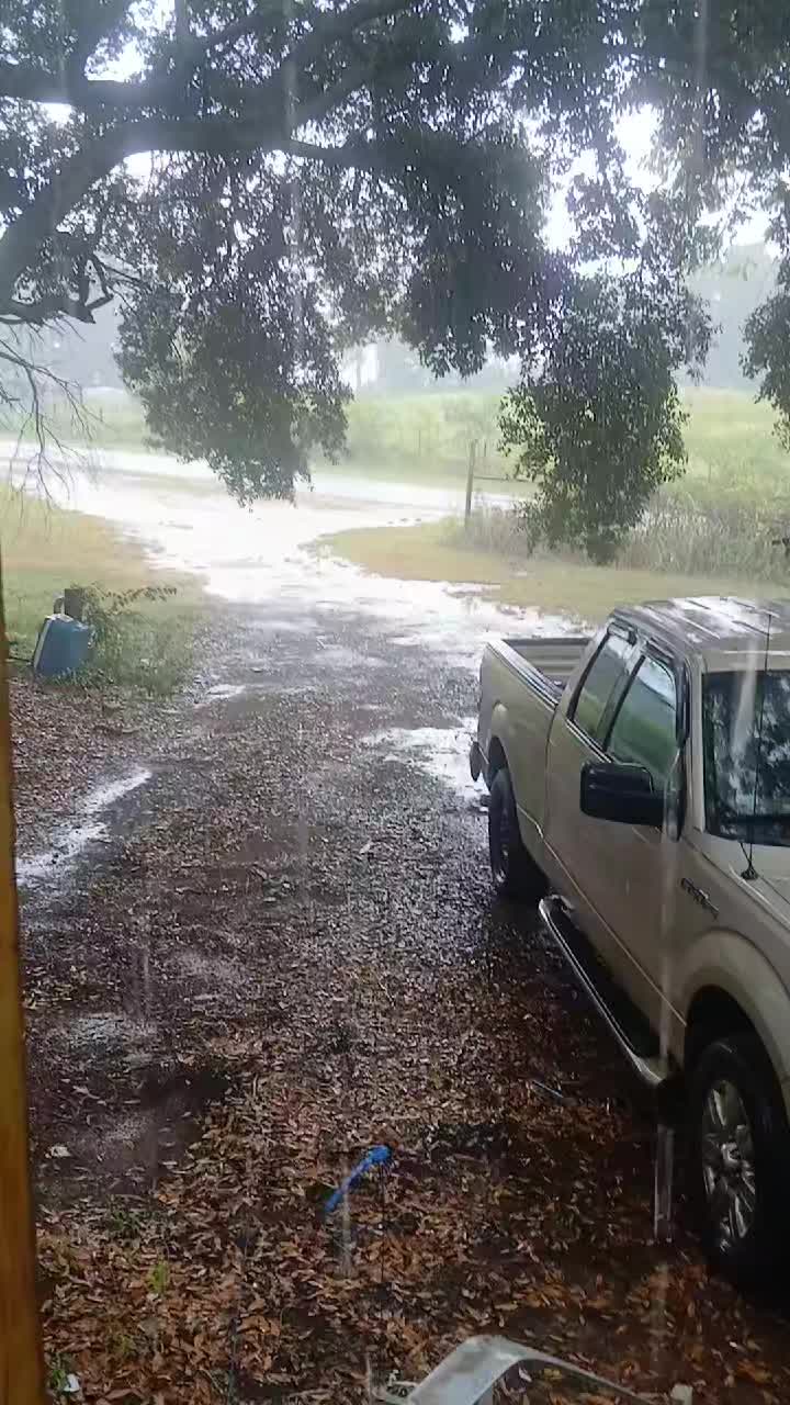 @C.P