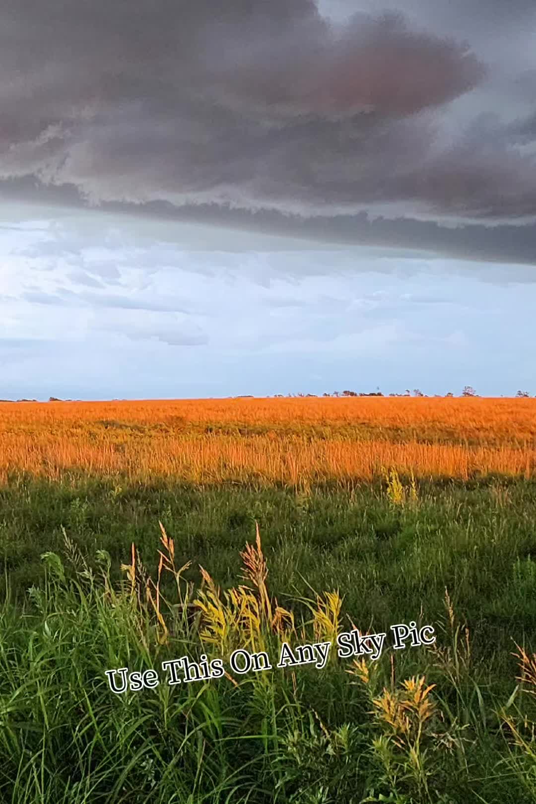 @ChaseMiles