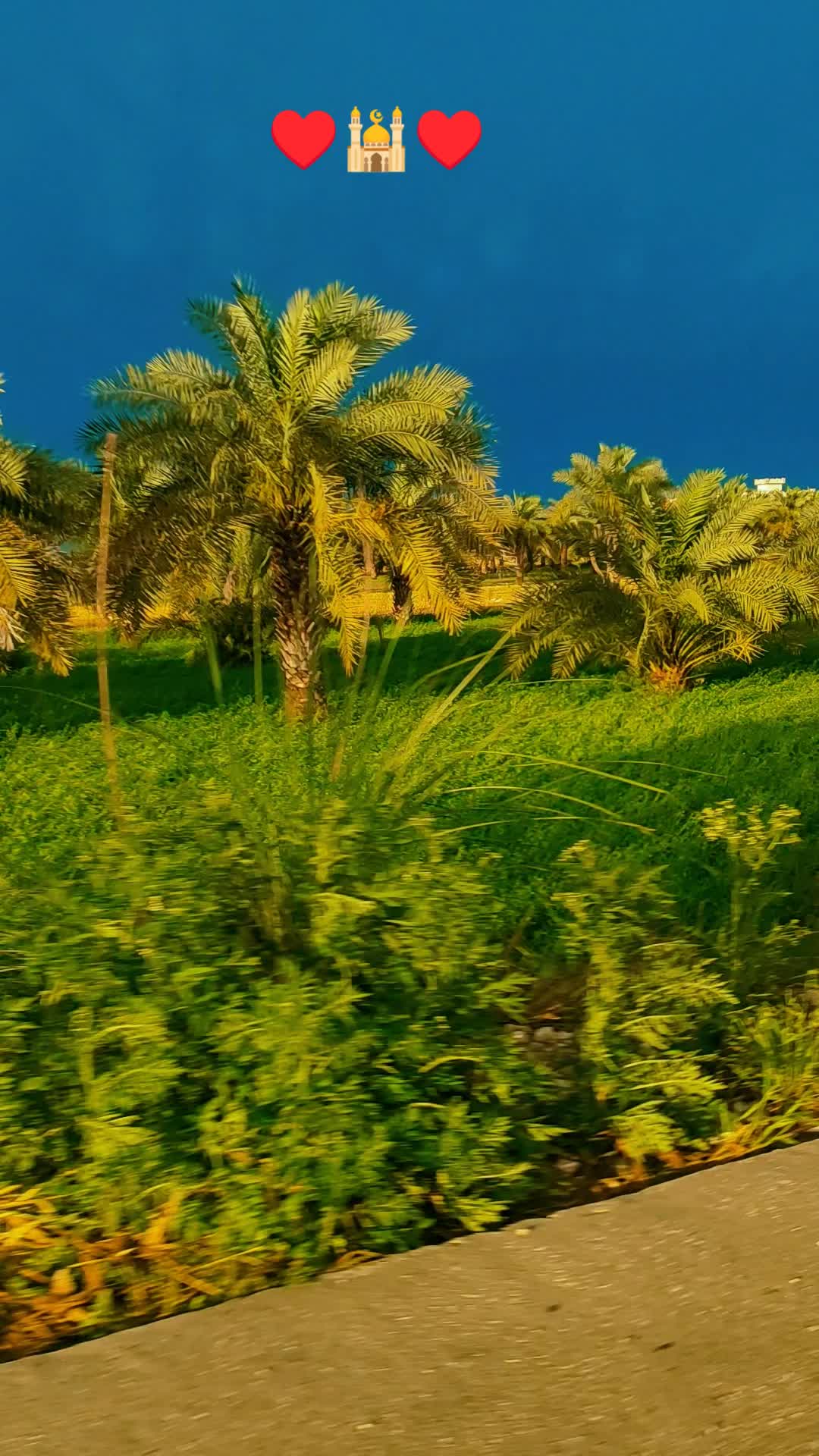 @ᴍʀܔⓐɦɱⓐɗʛυʅ