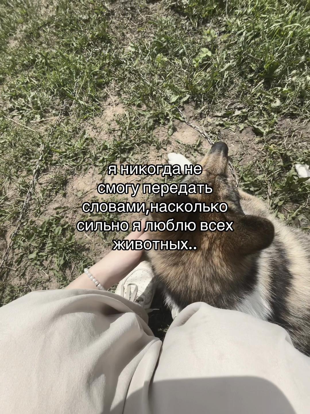 @Y.