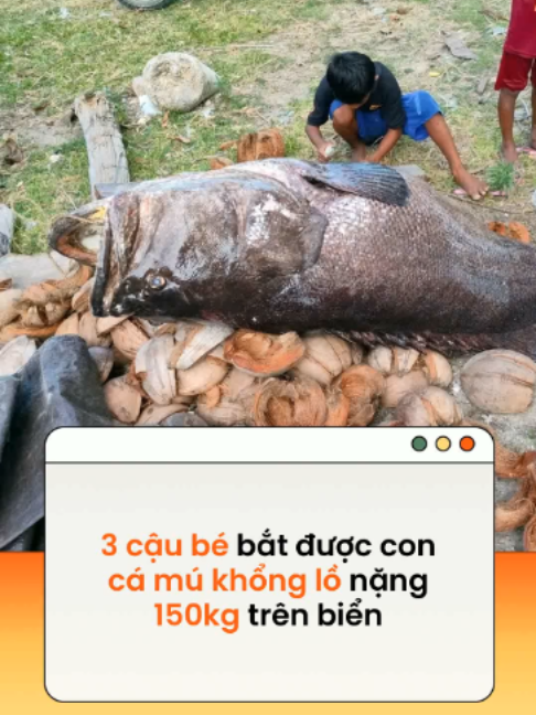 @Kenh14.vn