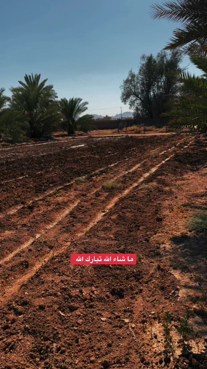 @نافع الشريهي K100